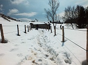 43 Due passi sulla neve con gli amici